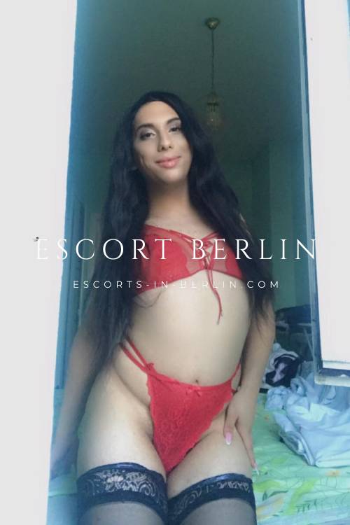 Trans Escort in Berlin